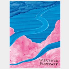 David Shrigley / Weather forecast